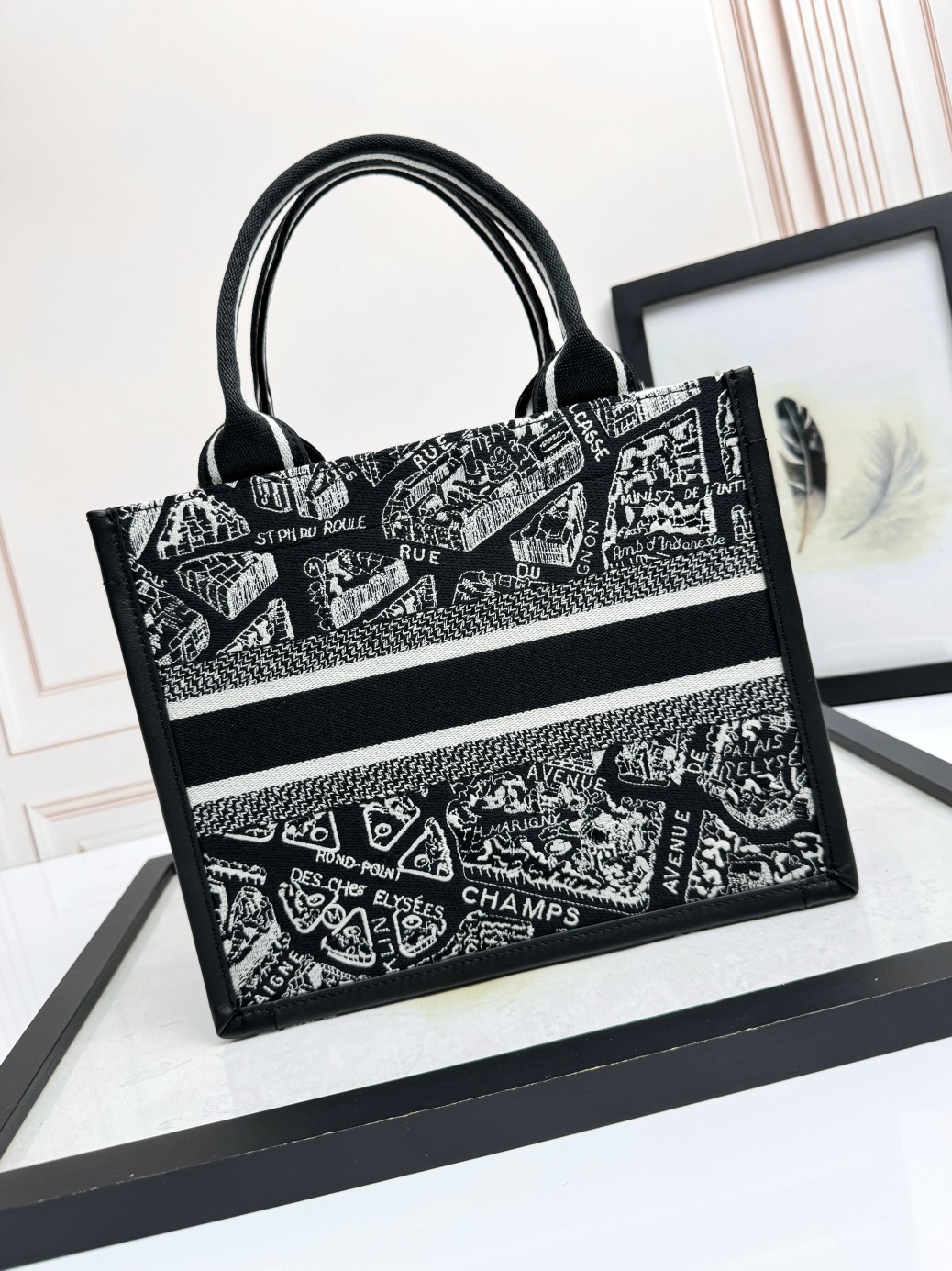 Small Dior Book Tote Bag Black and White Plan de Paris Embroidery with Black Calfskin